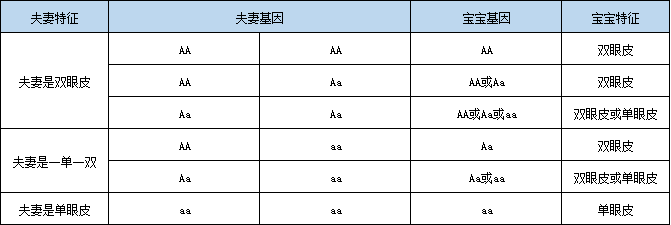 理论上来讲，夫妻都是单眼皮的话那么生出来的孩子也只能是单眼皮